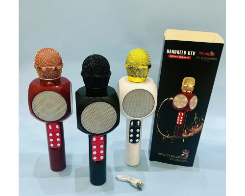 Беспроводной портативный микрофон HandHeld WS-1816 для караоке      HS-21 